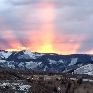 Meet your Posher, Lynn